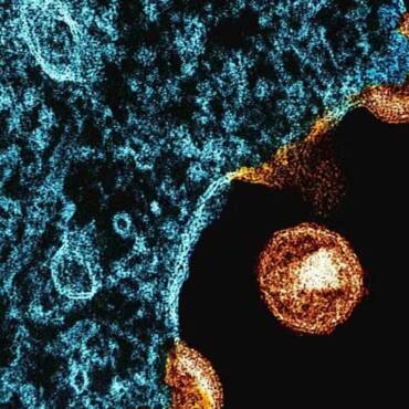 Chave para a cura do HIV pode ser a mesma usada nas vacinas de mRNA, aponta estudo pioneiro divulgado pelo G1