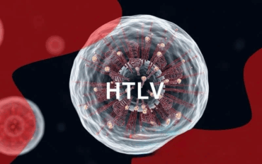 Dia Mundial do HTLV: o vírus invisível que pede atenção, prevenção e cuidado