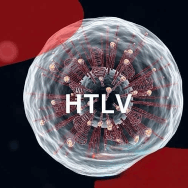 Dia Mundial do HTLV: o vírus invisível que pede atenção, prevenção e cuidado