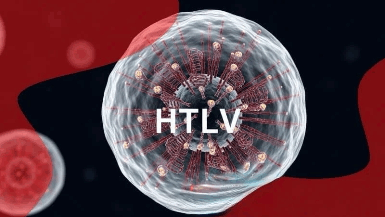 Dia Mundial do HTLV: o vírus invisível que pede atenção, prevenção e cuidado